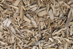 biomass boilers Mannofield